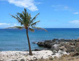 Maui Beach Dive